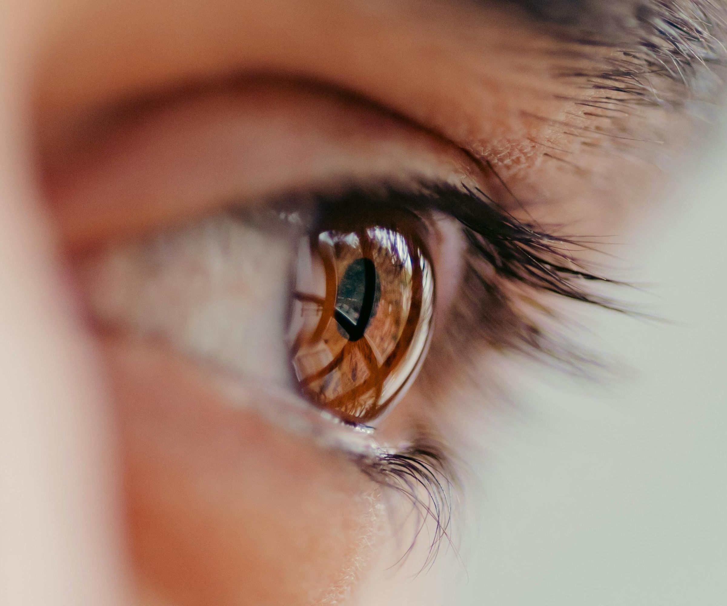 Extreme close-up of brown human eye